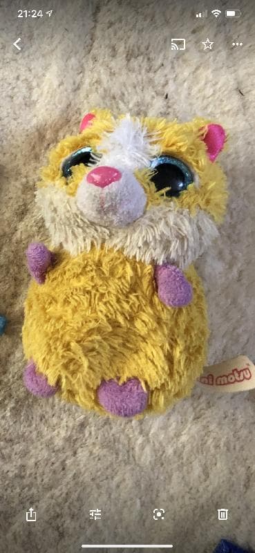 Lost — St Mary’s headland, Seaton delaval, Whitley bay