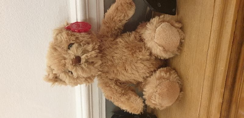 Found — Hainault country park essex