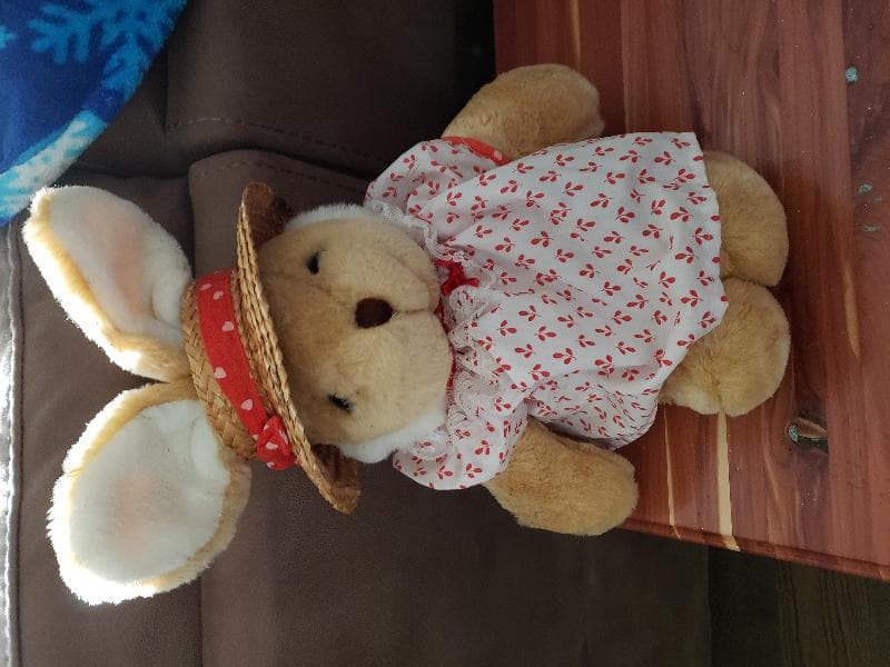 Found — 1111 Furnace rd, Iron Station, NC 28092