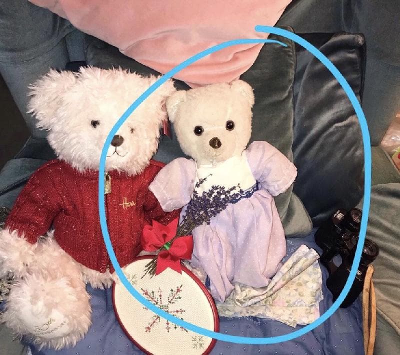 Lost — 	37 Lindsay Rd, Branksome, Poole BH13 6BH