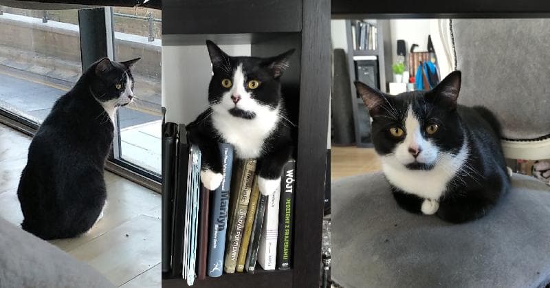 Lost — Leeds Water Lane, LS11 5WF, LS1 - Holbeck