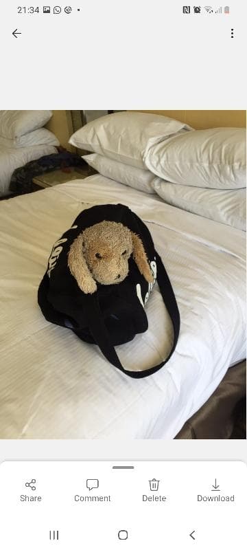 Lost — Tudor park marriot hotel Bearsted 