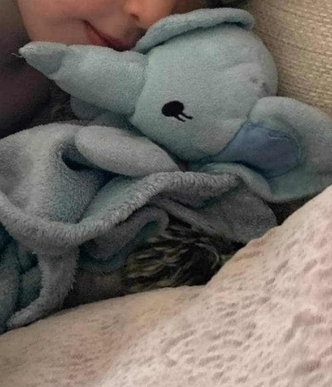 Lost — Lynnsport, King's Lynn