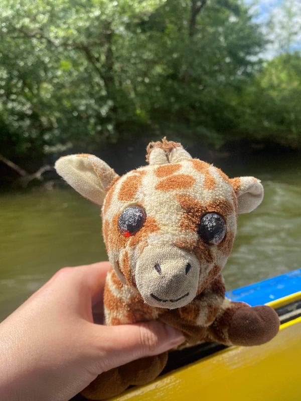 Lost — Wildmill, Black Path, Bridgend