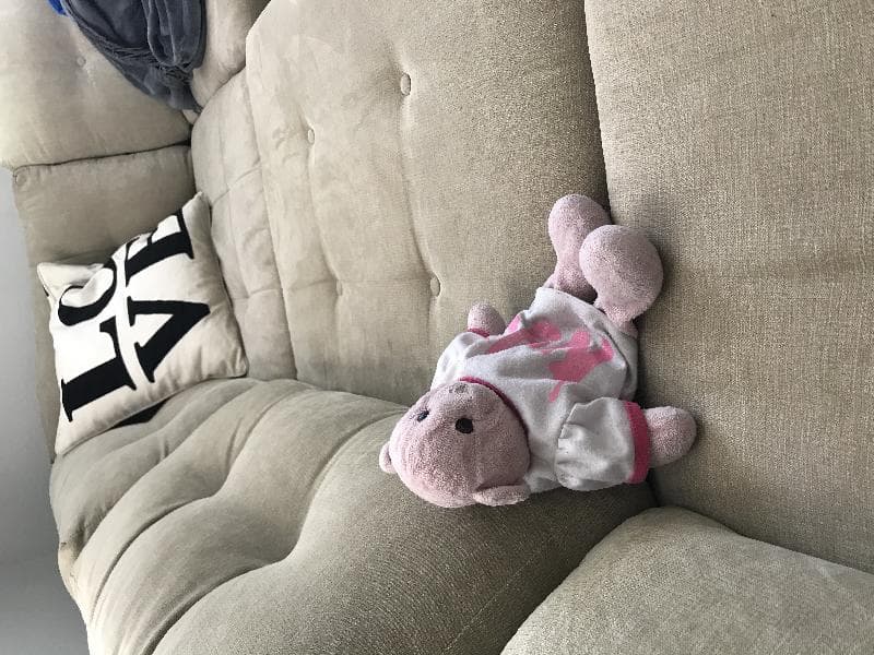 Lost — 33165 Temecula Pkwy Temecula, CA 92592 United State