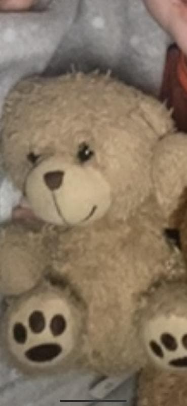 Lost — Drayton Manor hotel