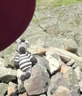 Lost — Grasmere, up Silver How