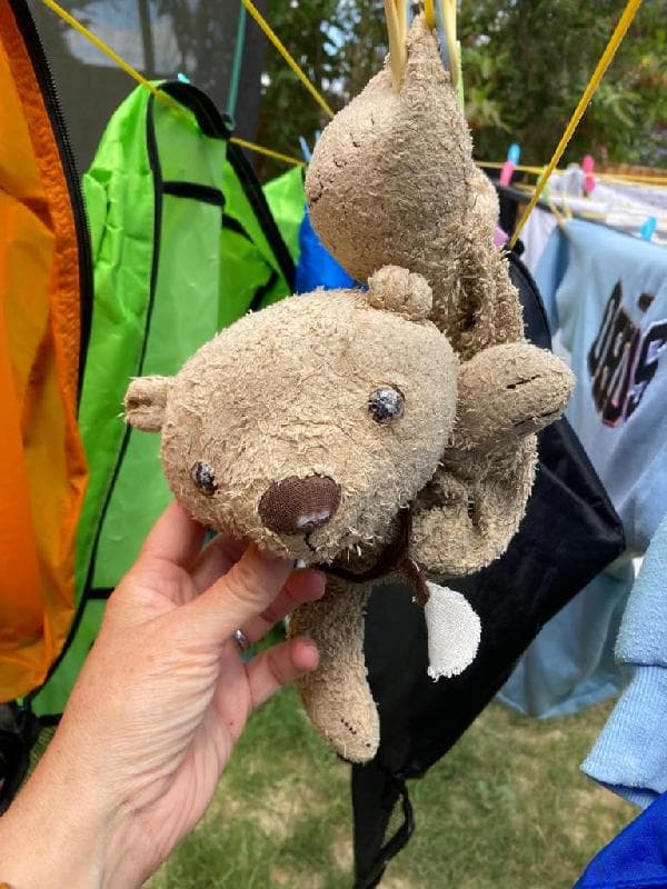 Lost — Pembury/ Tunbridge Wells 