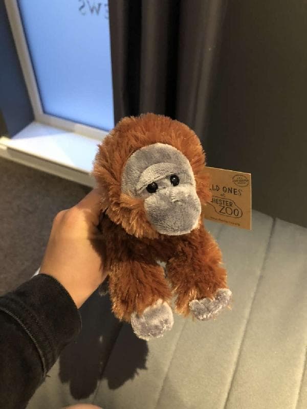 Lost — westfield county park, Hull