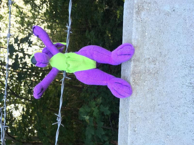 Found — Tunbridge Wells 