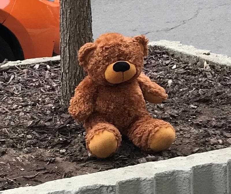 Found — 120 Carlton Street, Toronto, Ontario