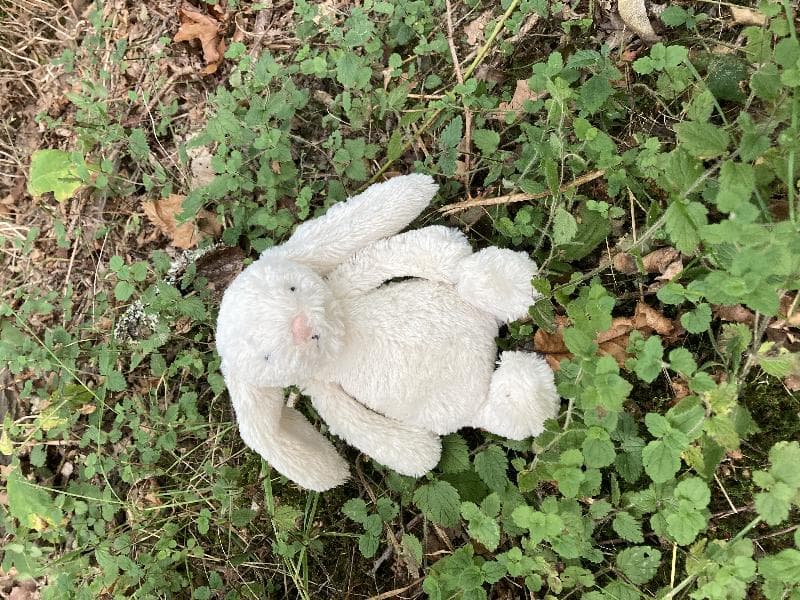 Found — Hawes End, Derwentwater
