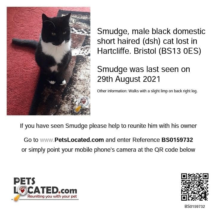 Lost — Hartcliffe Bristol