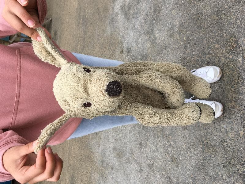Found — Towan beach Newquay 