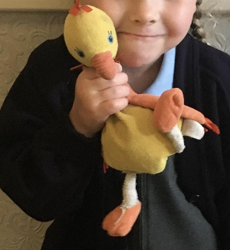 Lost — Copnor road Portsmouth