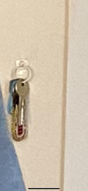 Lost — Lever Street/ Percival Street