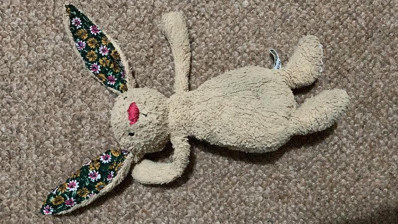 Lost — St Pancras london