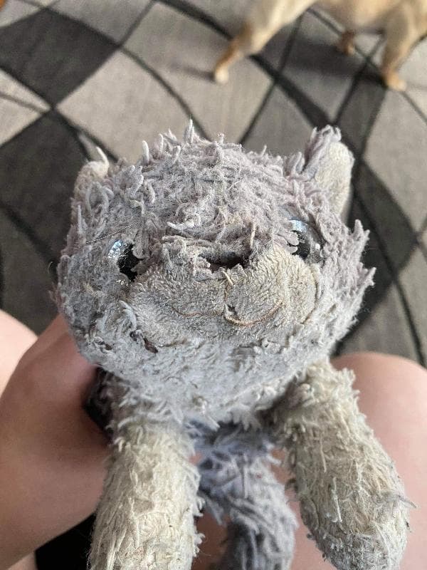 Lost — Charlotte Douglas International Airport