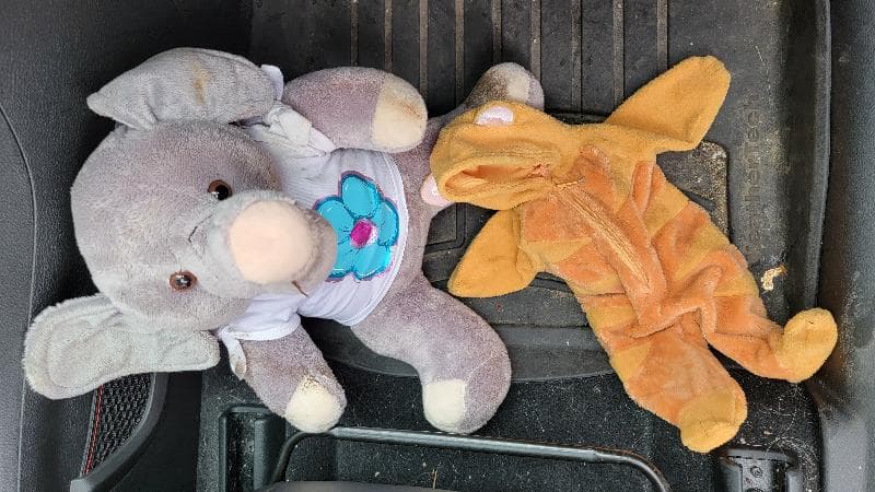 Found — Davita, Cooper Foster Park Road, Amherst OH