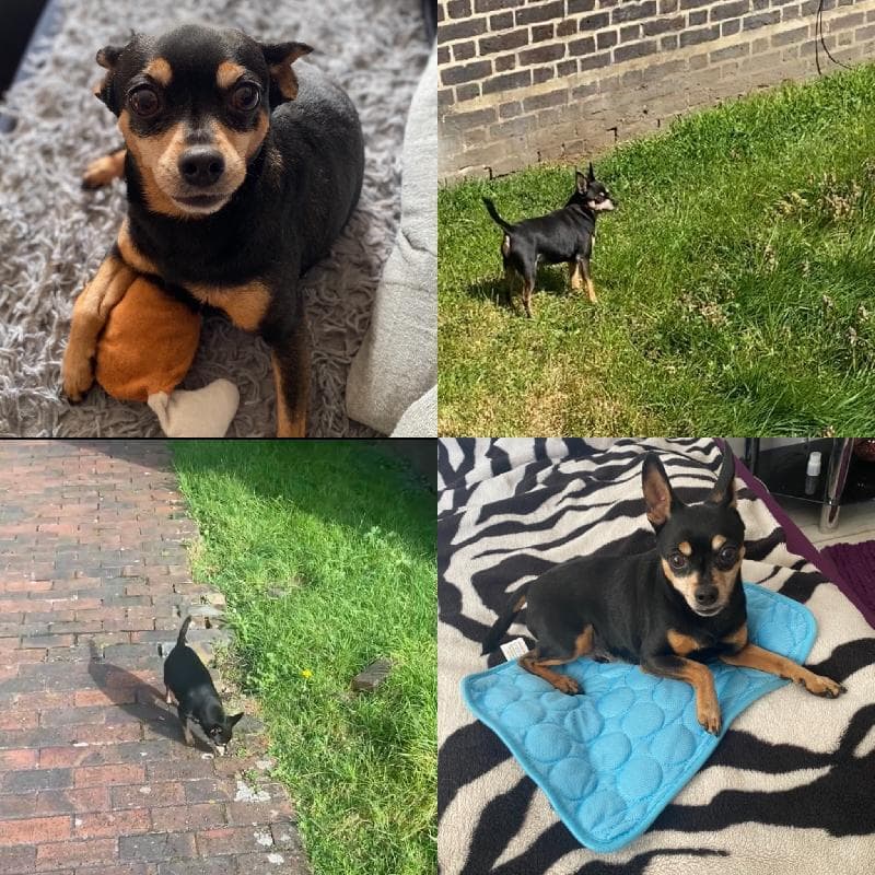 Lost — London at Dalston Lane/Queensbridge Road