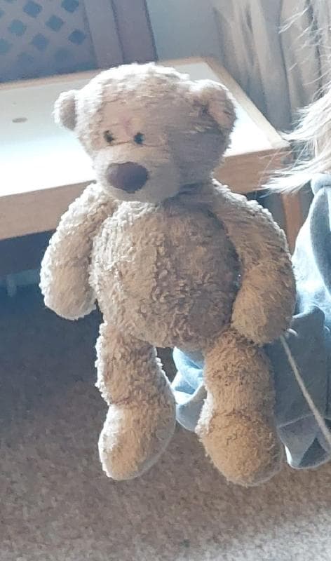 Lost — Royal botanical Gardens kew