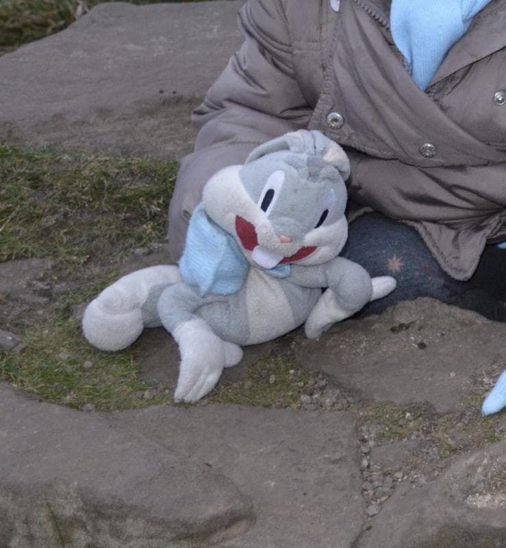 Lost — Next, Straiton, Edinburgh, EH20 9PW