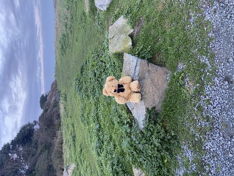 Found — Les Petils, Guernsey GY3, Guernsey