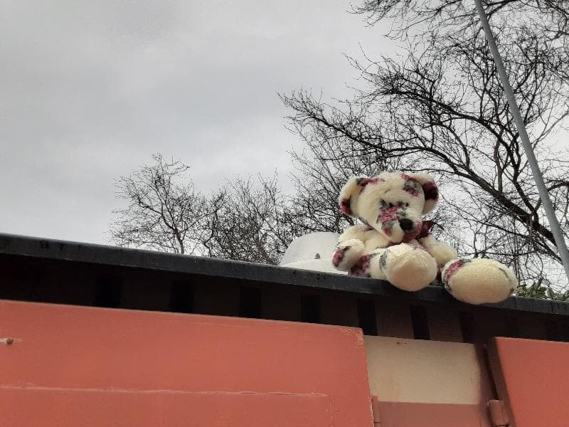 Found — Corner of Store and Chatham Street, Victoria, BC