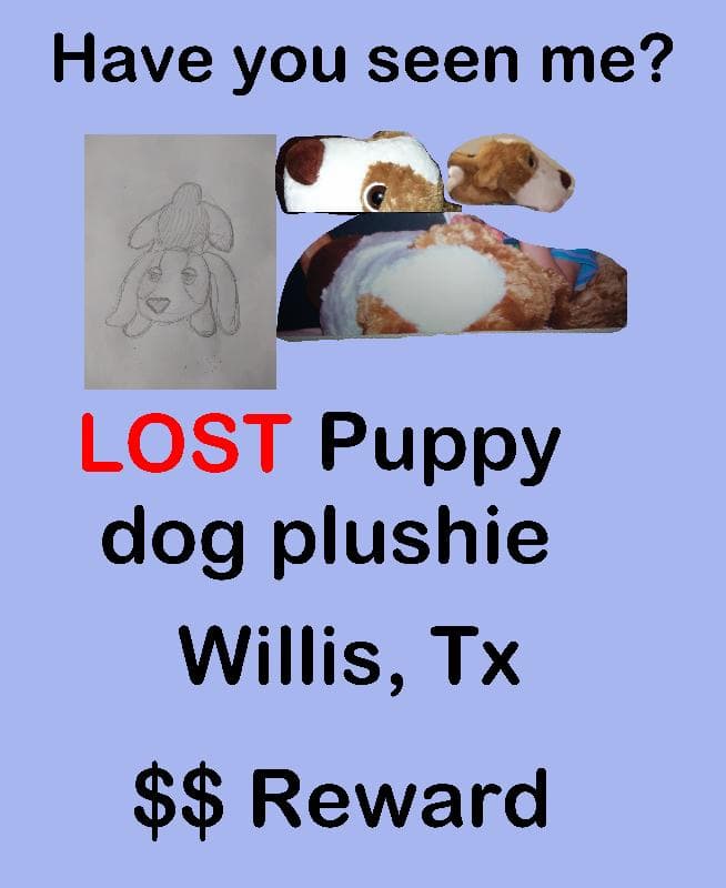 Lost — Willis, Tx