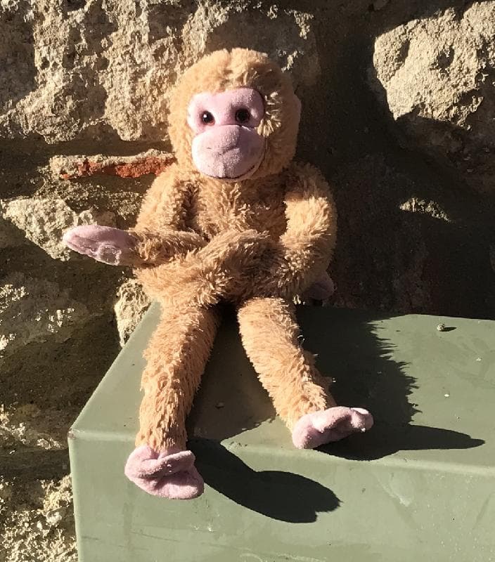 Found — Outside 76 Old High Street, OX3 9HW