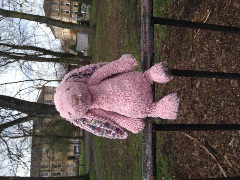 Found — Queens Park Playground, G42 8QF