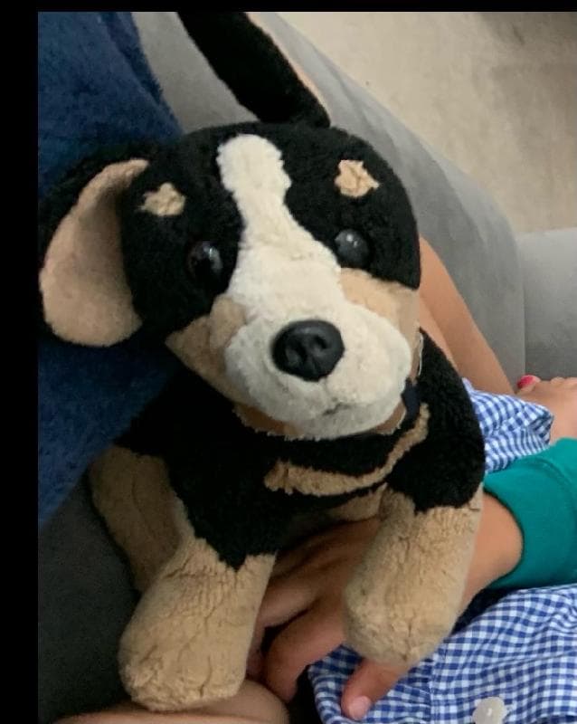Lost — Bluewater shopping centre