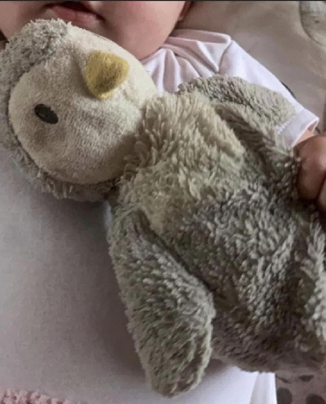 Lost — Primrose hill London
