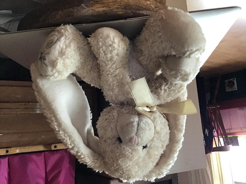 Found — Emmett ave park - Jane and eglinton Toronto 