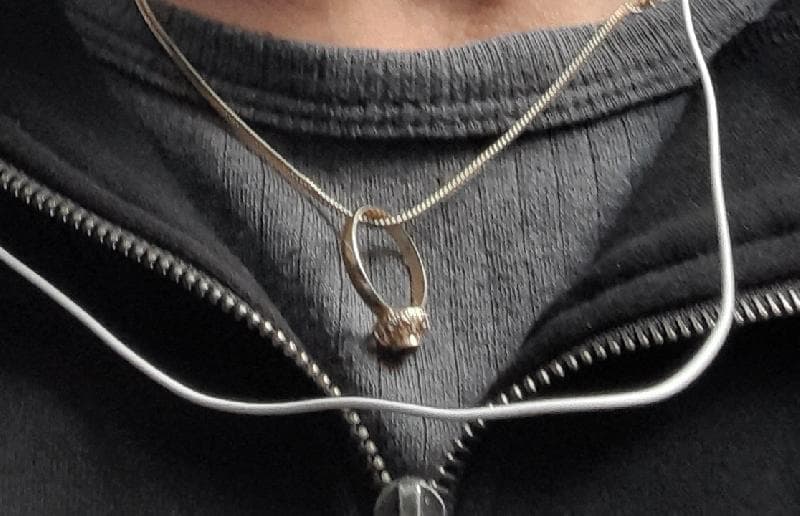 Lost — Tooting bec Common