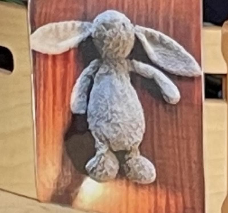 Lost — 97 bus Leyton, London E10 6AE
