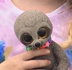 Lost — Edinburgh city centre