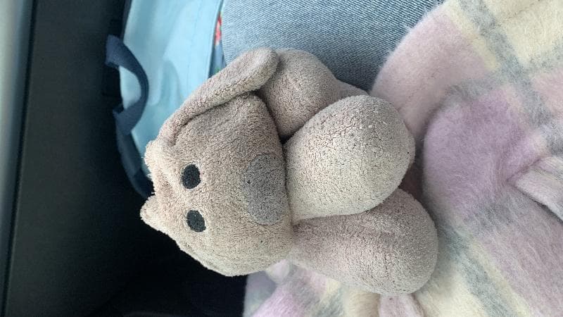 Lost — Newton Poppleford Primary School 