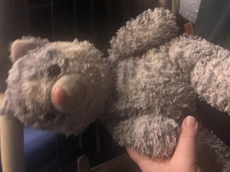 Found — Terminal bus Heathrow T5