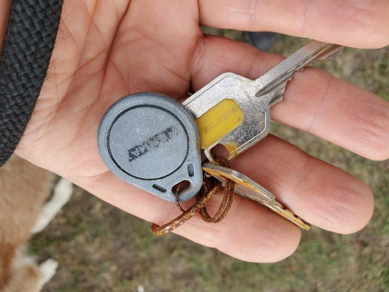 Found — Wokingham