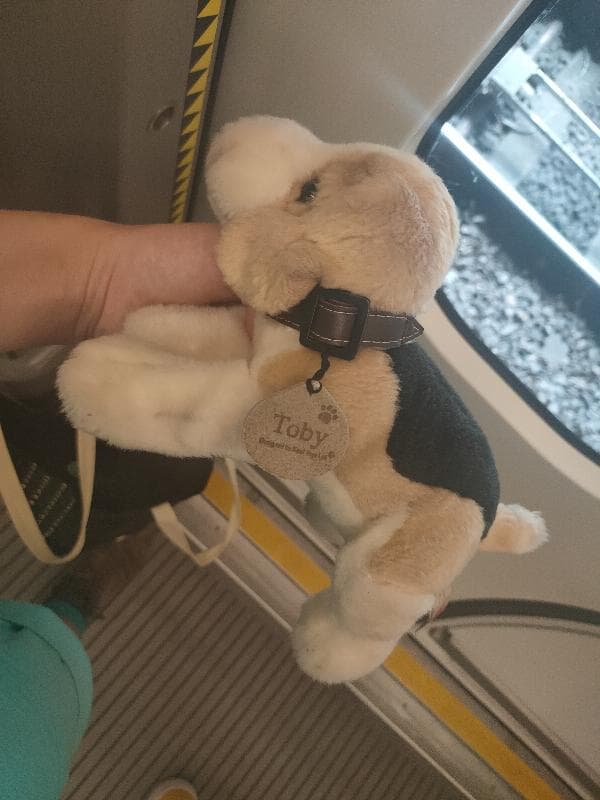 Found — Paddington station