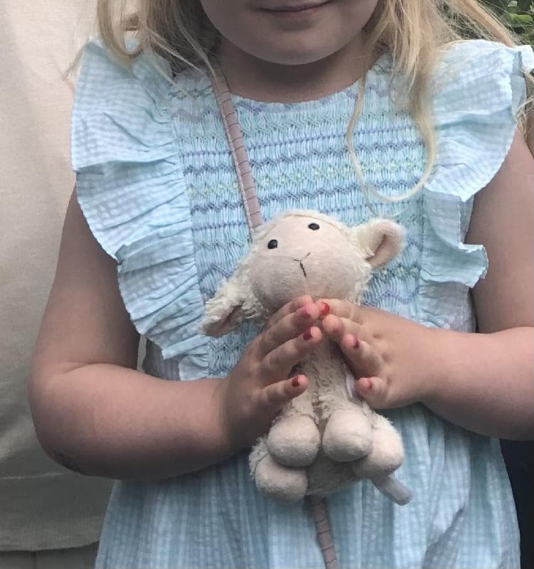 Lost — BUS 319 towards Sloane Square in London UK 