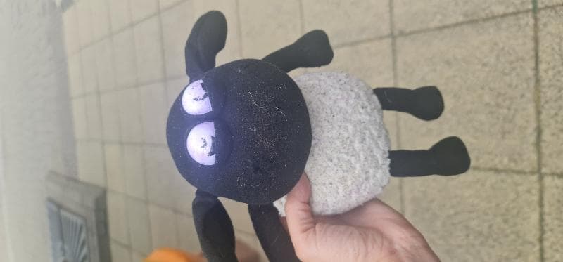 Found — High street, Solihull 