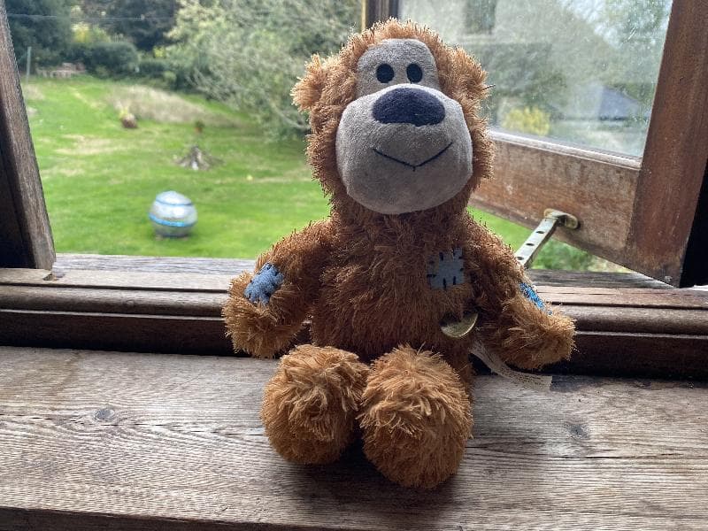 Found — Topsham Bridge, TQ7, Devon