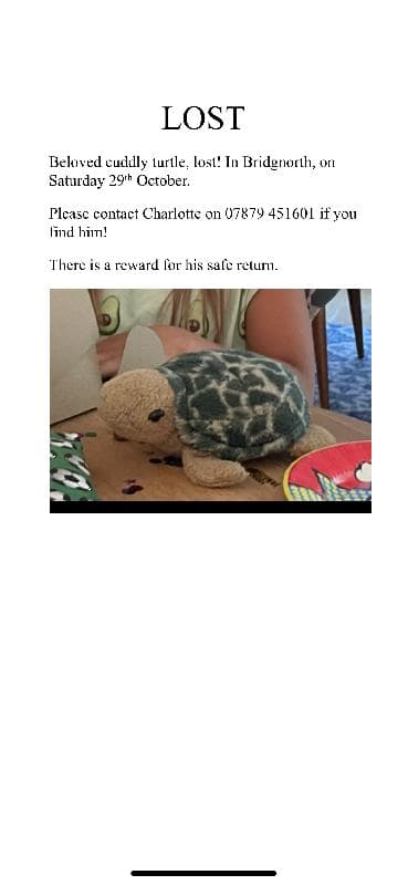 Lost — Bridgnorth