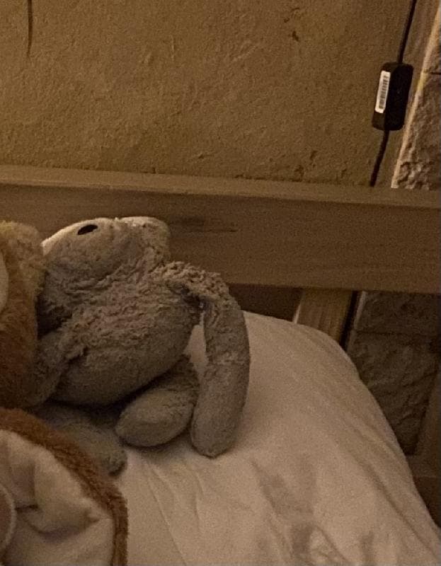 Lost — 110 Rue Jean Bleuzen, Vanves, France