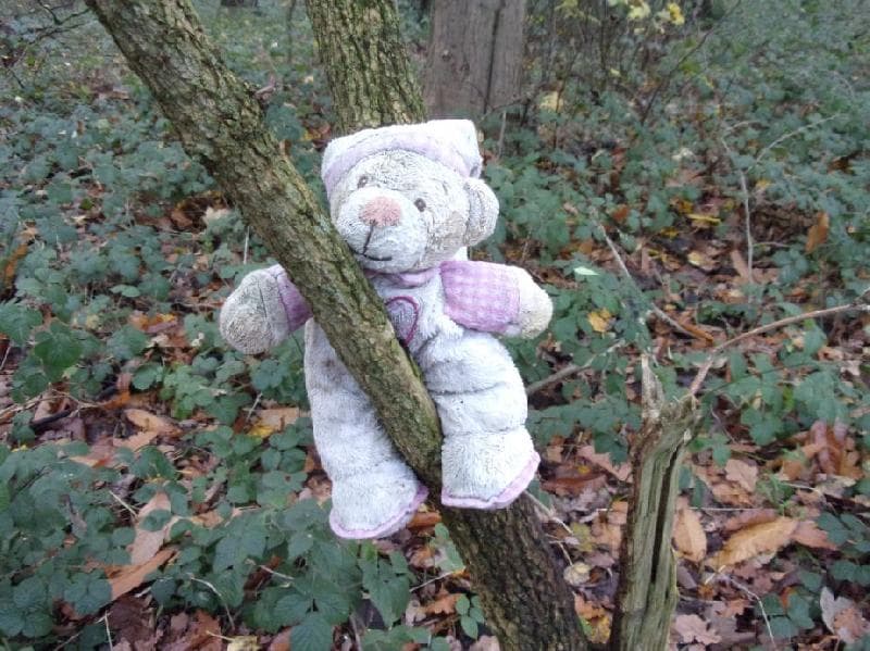 Found — Temple Newsam Wood, Leeds, LS15