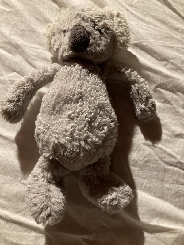 Found — New Kings Road, opposite Parsons Green, Fulham SW6