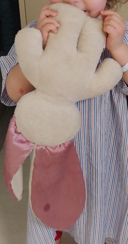 Lost — Aldi, Heatherton Village or near Clifton Drive.