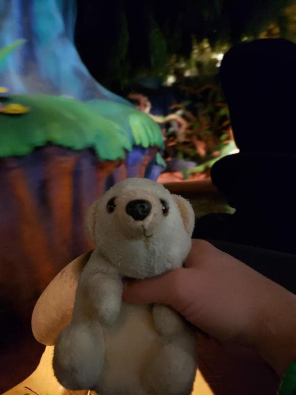Lost — Walt Disney World, Florida